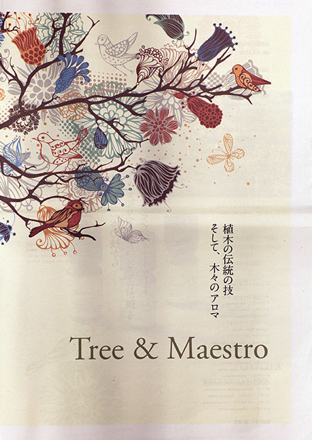 Tree＆Maestro|タブロイドフライヤー